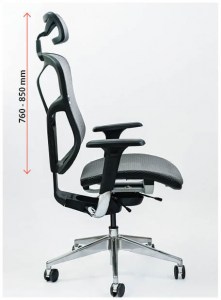 Spinergo Optimal